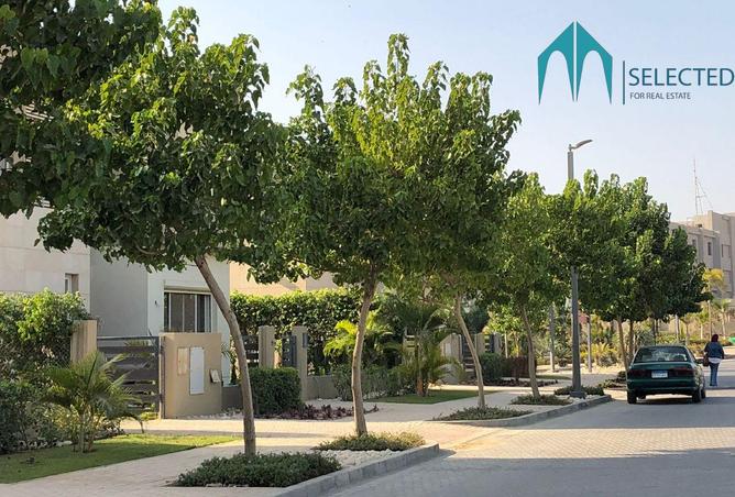 8393305 - Property Image 3