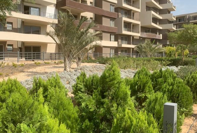 8430009 - Property Image 3