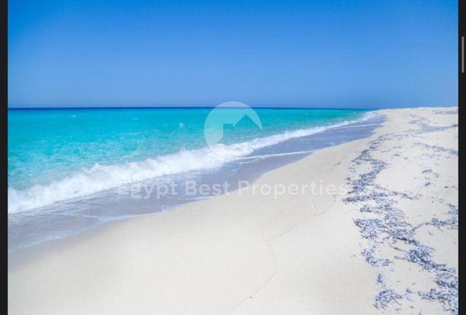 8436463 - Property Image 2