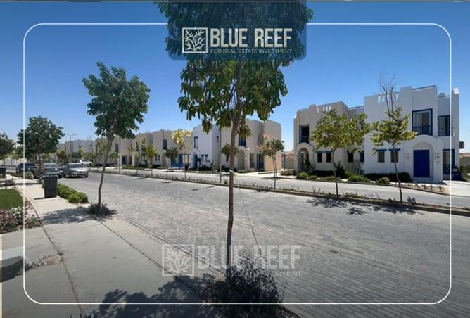 8447386 - Property Image 3