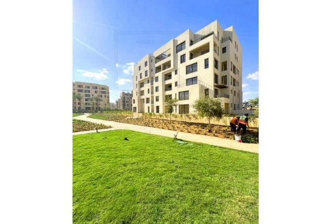 7931552 - Property Image 2