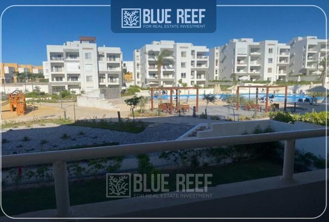 8261159 - Property Image 3