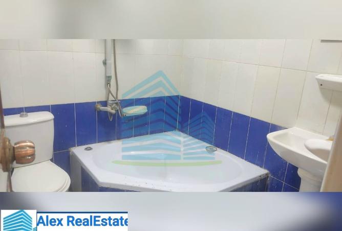 8191831 - Property Image 3