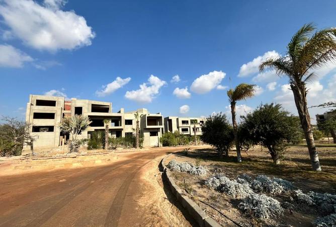 8501484 - صورة العقار 3