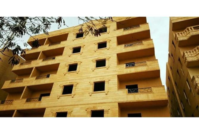 8551041 - Property Image 3