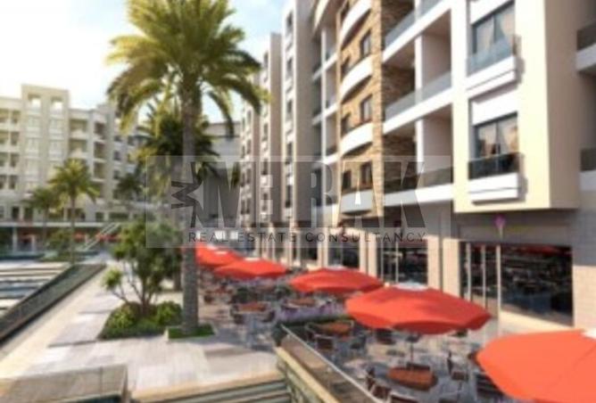 8420379 - Property Image 2