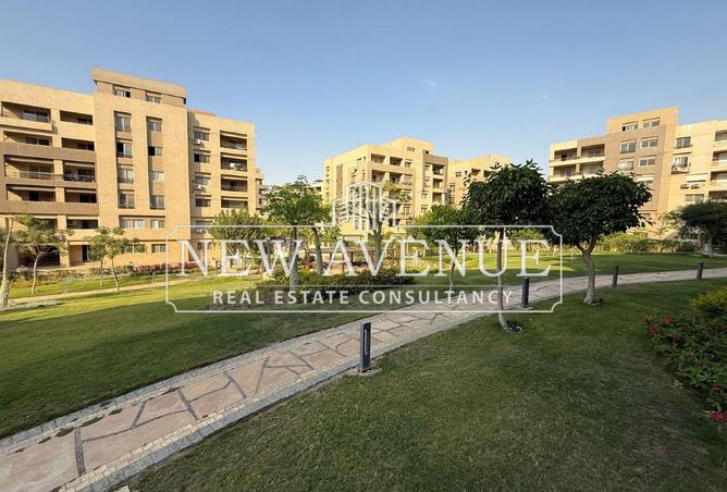 8089432 - Property Image 3