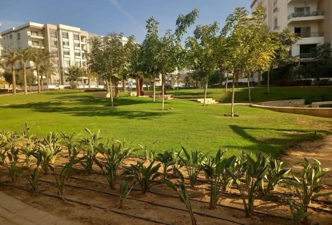 8202778 - صورة العقار 3