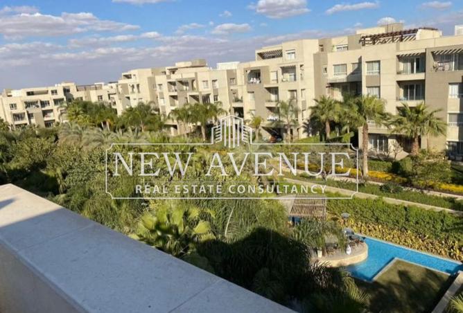 8252306 - Property Image 2