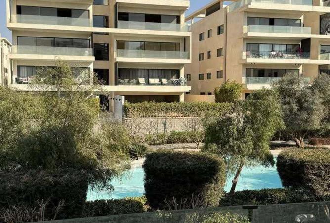 8396389 - Property Image 3