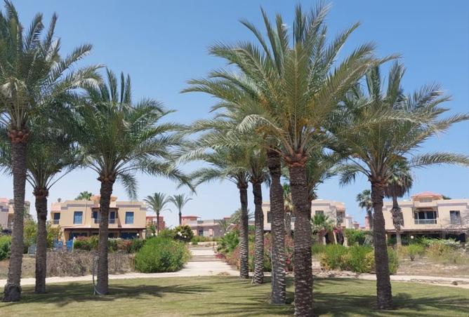 8470902 - صورة العقار 3