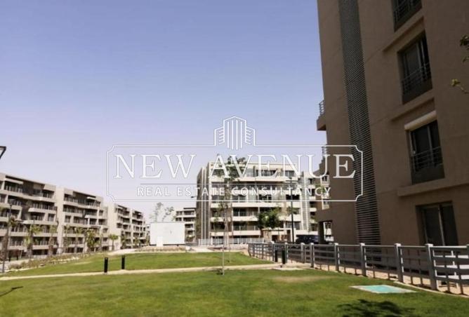 8239432 - Property Image 3