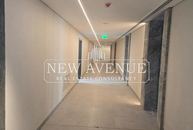 8339837 - Property Image 3