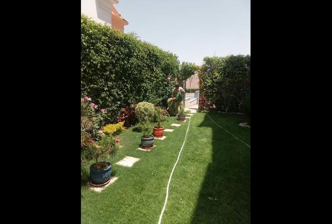 8417030 - Property Image 3