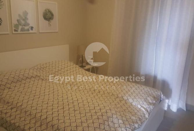 8432758 - Property Image 3