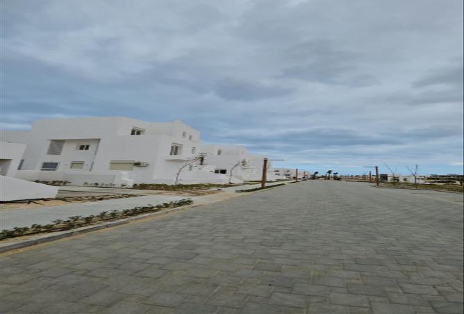 7988291 - صورة العقار 2