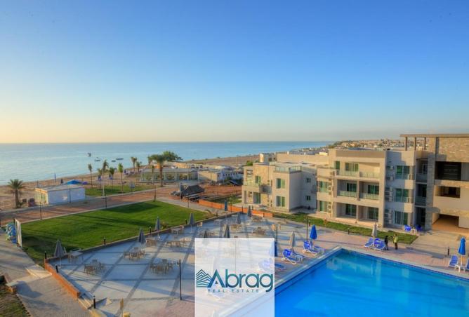 8233481 - صورة العقار 3