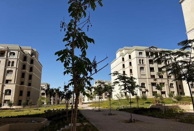 8525750 - Property Image 3