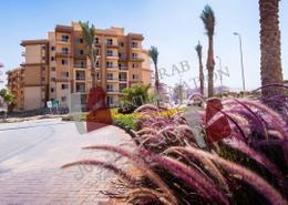 شقة - 2 غرف نوم - 1 حمام for للبيع in حي الاشجار - طريق الواحات - مدينة 6 أكتوبر - الجيزة