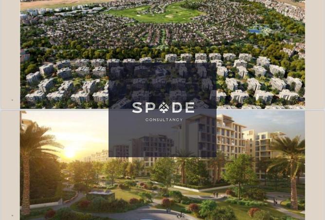 8248613 - Property Image 3