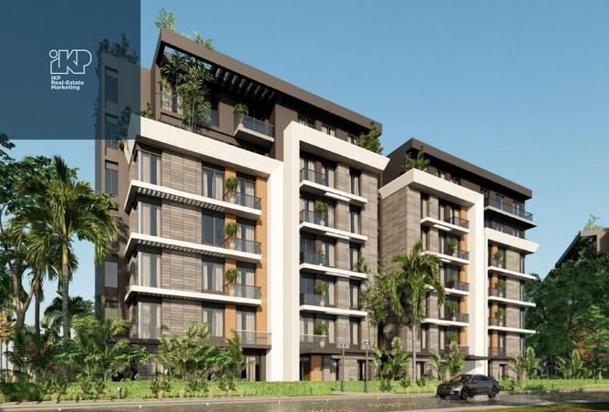 8117400 - Property Image 3