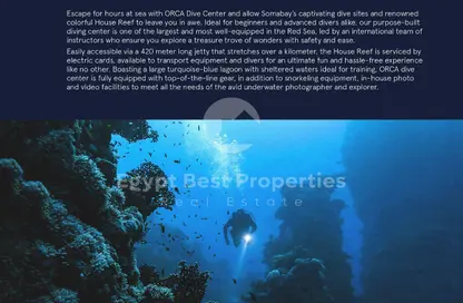 Cabin - 3 Bedrooms - 2 Bathrooms for sale in ARC of Soma - Soma Bay - Safaga - Hurghada - Red Sea