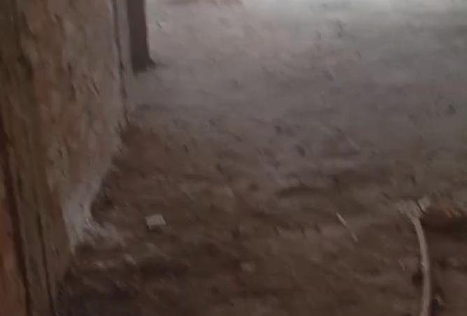 8258332 - Property Image 2