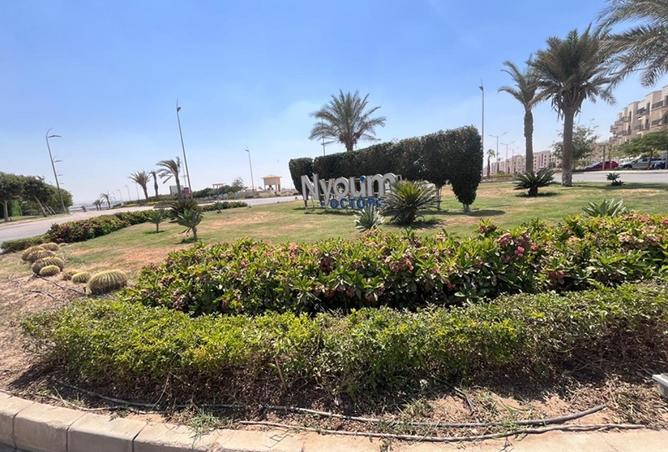8081357 - صورة العقار 2