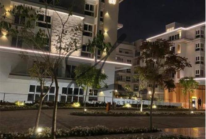 7904249 - Property Image 3