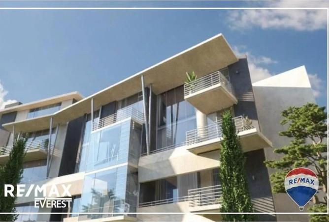 8243309 - Property Image 3