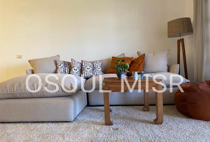 7982624 - Property Image 3