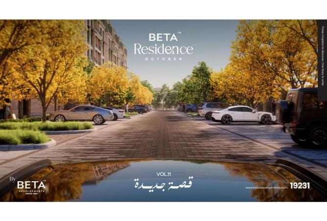 8151634 - صورة العقار 2