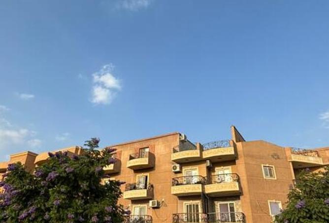 7959503 - صورة العقار 3