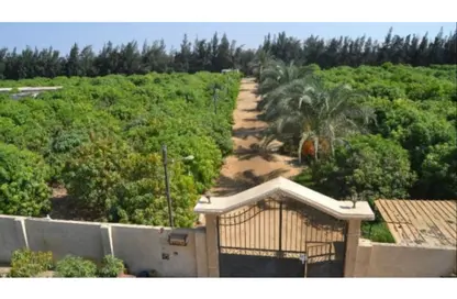 Farm - Studio for sale in Cairo Alexandria Desert Road - 6 October City - Giza