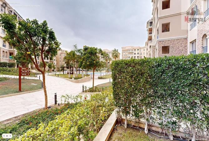 7967078 - Property Image 3