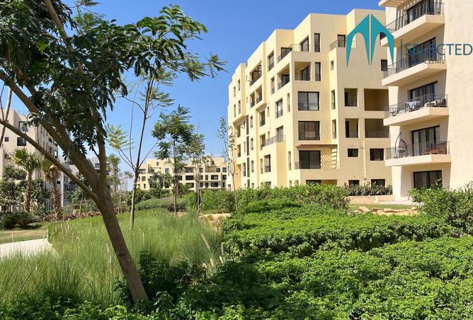 8231524 - صورة العقار 3