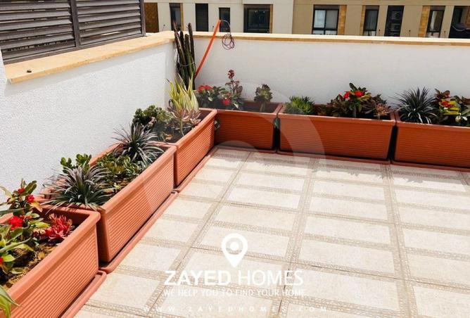 8389233 - Property Image 2