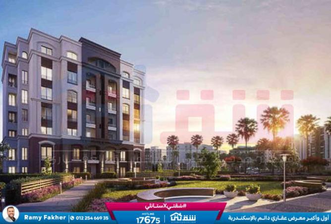 8422281 - Property Image 3