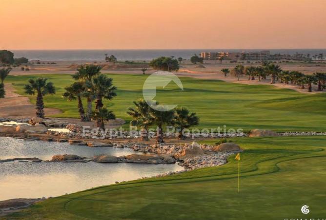 7962354 - صورة العقار 2