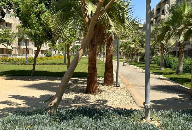 8276651 - صورة العقار 3