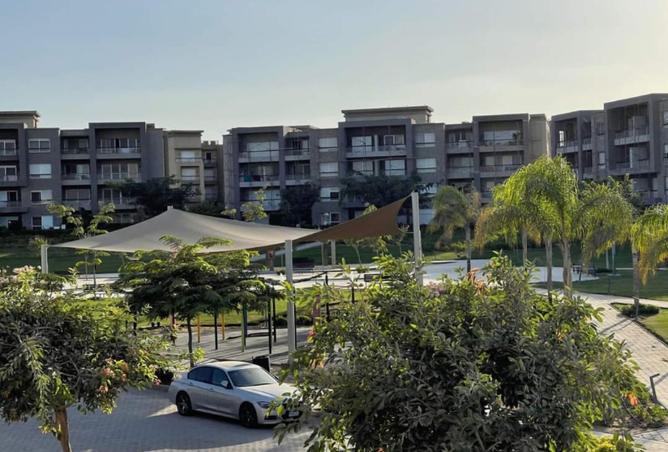 8097553 - Property Image 3