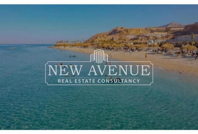 8381796 - Property Image 2