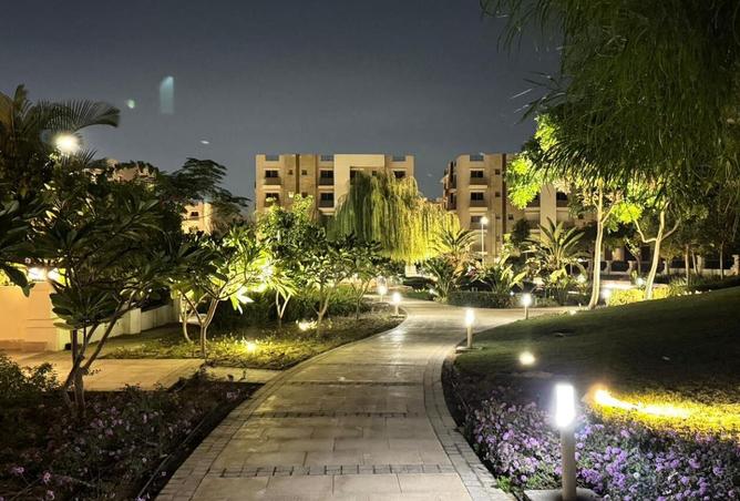 8005368 - صورة العقار 2