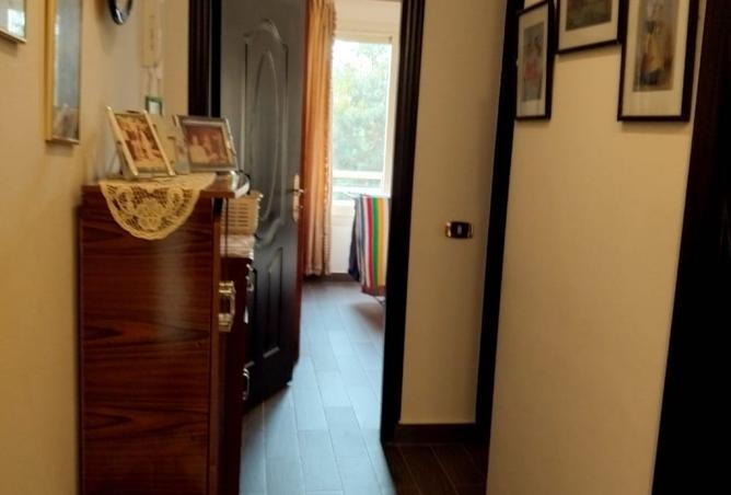 8047279 - Property Image 2