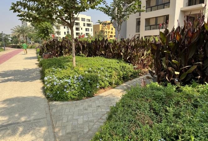 8255454 - Property Image 2