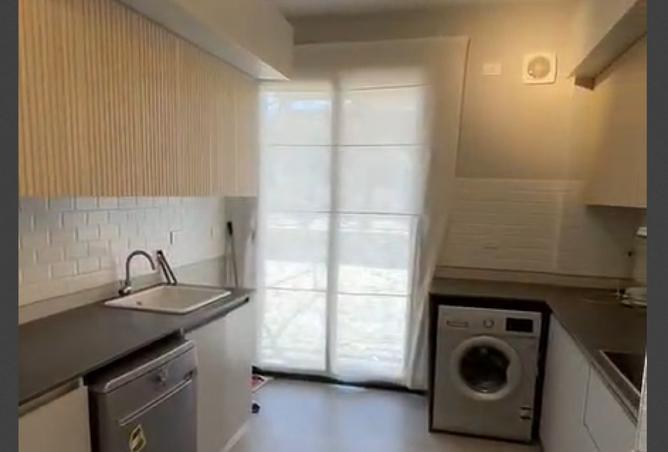 8117357 - Property Image 3