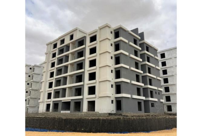 8419428 - Property Image 2