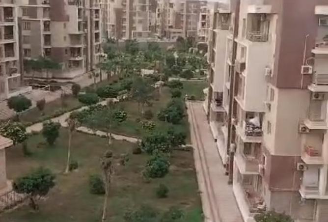 8165958 - Property Image 3