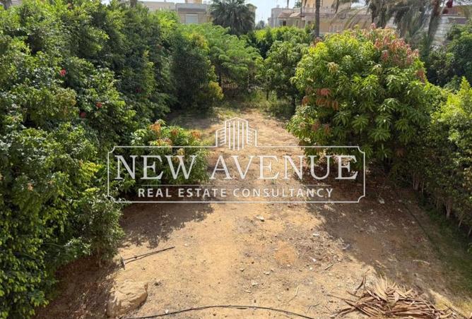 7916083 - Property Main Image