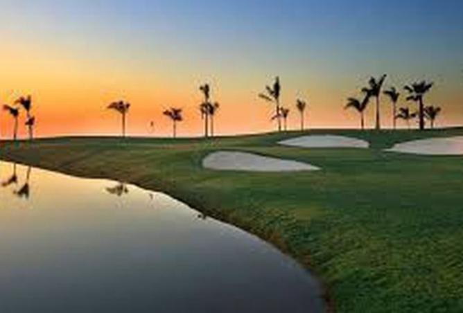 8374447 - Property Image 3